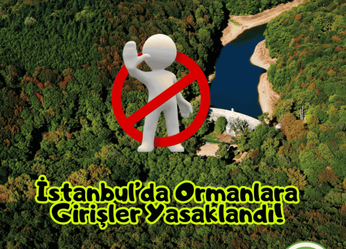 İstanbul’da Orman Yasakları ve Pikniğin Serbest Olduğu Bölgeler Listesi