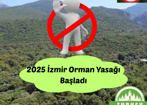 İzmir’de Ormanlara Girişler Yasaklandı! (2025)