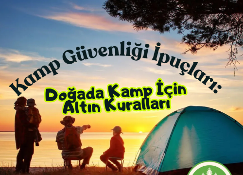 Kamp Güvenliği İpuçları: Doğa Kampının Altın Kuralları