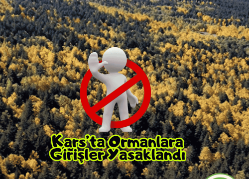 Kars’ta Ormanlara Girişler Yasaklandı