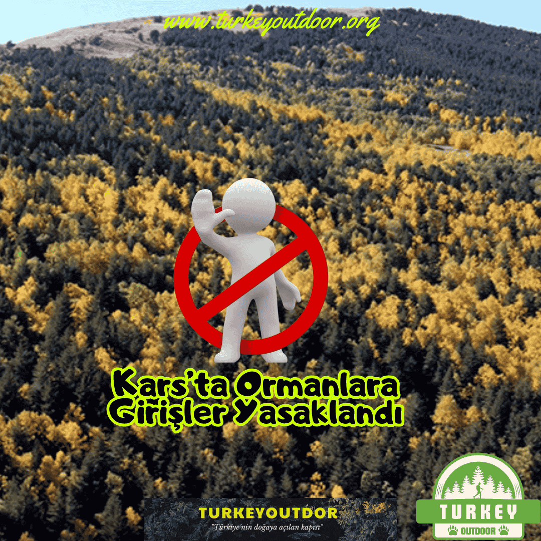 Karsta Ormanlara Girişler Yasaklandı