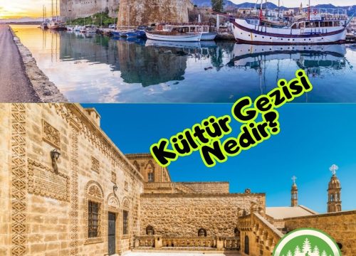 Kültür Gezisi: Derin Bir Kültürel Keşif