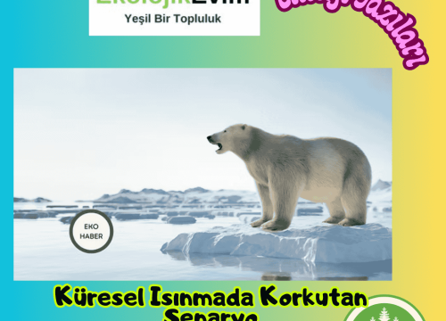 Küresel Isınmada Korkutan Senaryo
