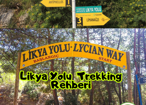 21 Günde Likya Yolu Yürüyüşü: 17. Gün Olympos – Yukarı Beycik
