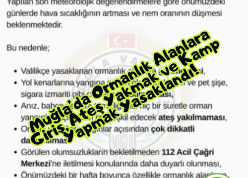 Muğla’da Ormanlık Alanlara Giriş, Ateş Yakmak ve Kamp Yapmak Yasaklandı!