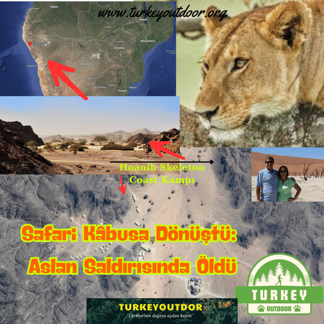 Safari Kâbusa Dönüştü