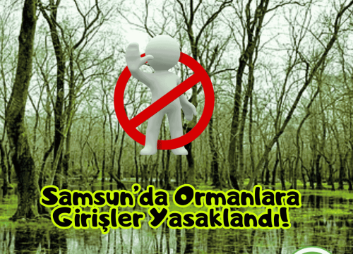 Samsun’da Ormanlara Girişler Yasaklandı!
