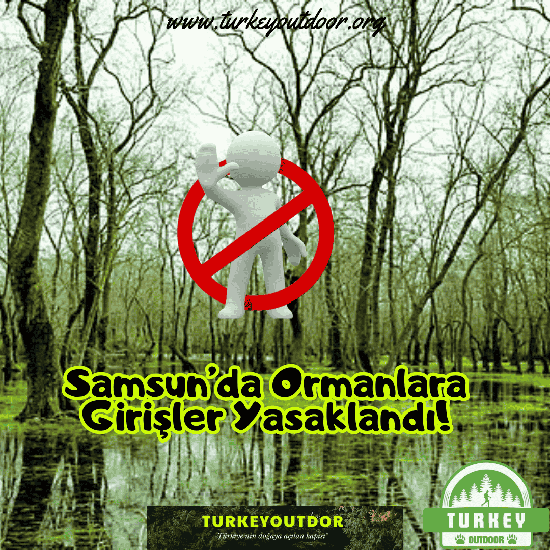 Samsunda Ormanlara Girişler Yasaklandı