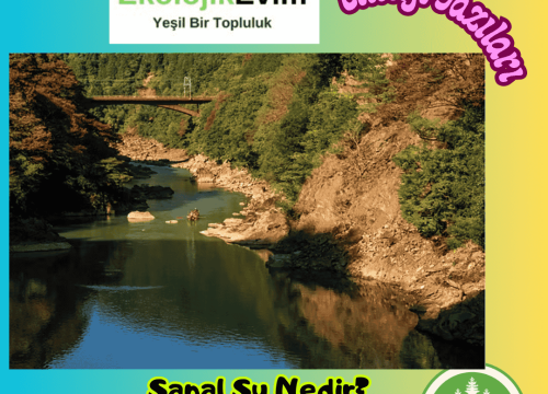 Sanal Su Nedir?