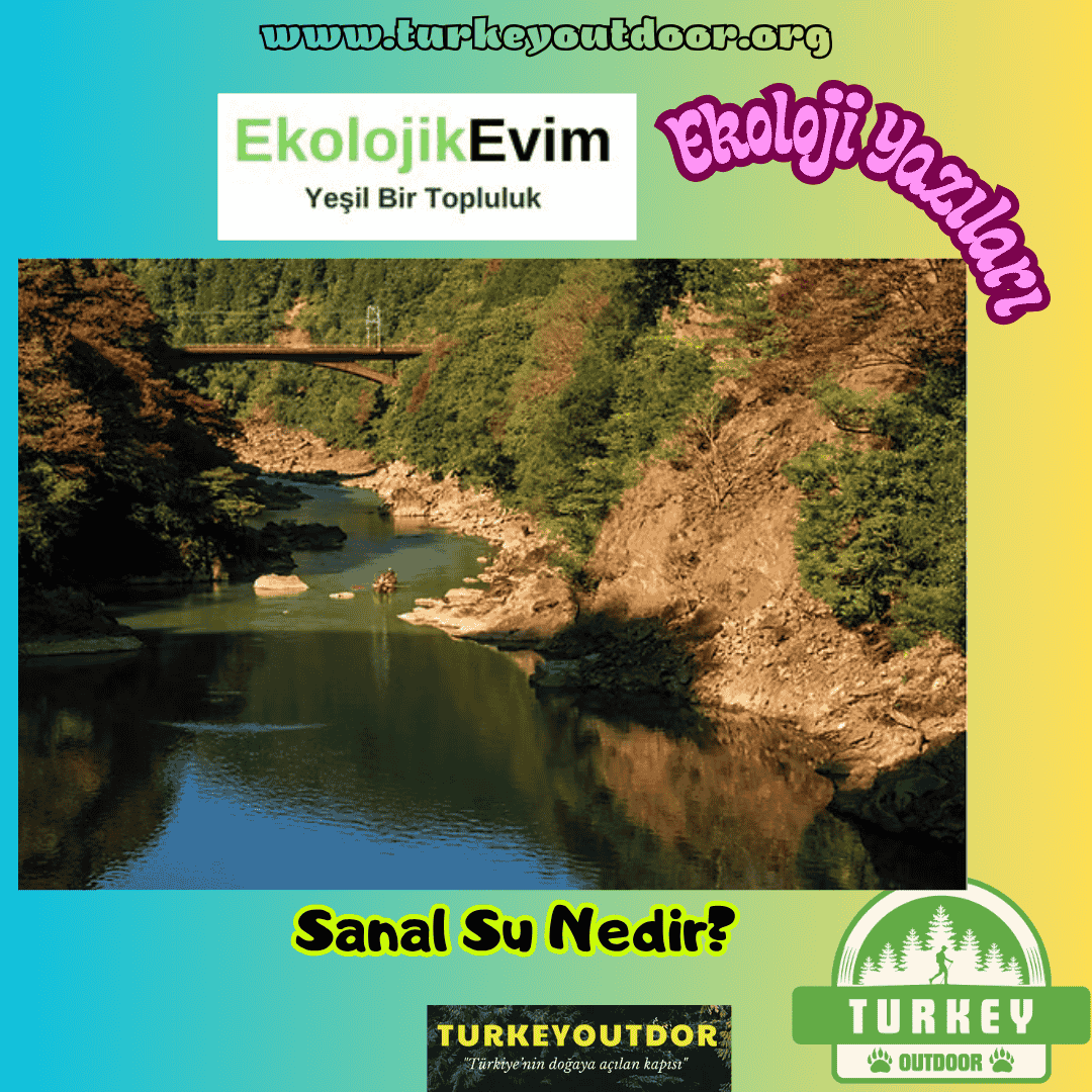 Sanal Su Nedir