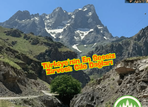 Türkiye’nin En Sessiz Zirvesi: Cilo Dağları