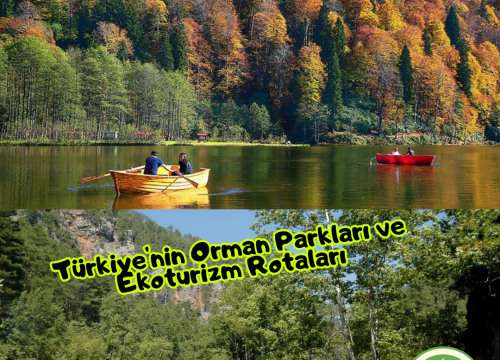 Türkiye’nin Orman Parkları ve Ekoturizm Rotaları