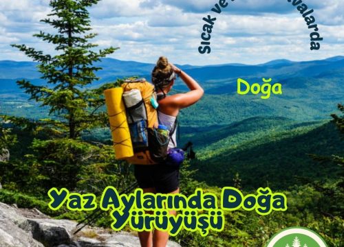 Sıcak Yaz Günlerinde Doğa Yürüyüşü Önerileri