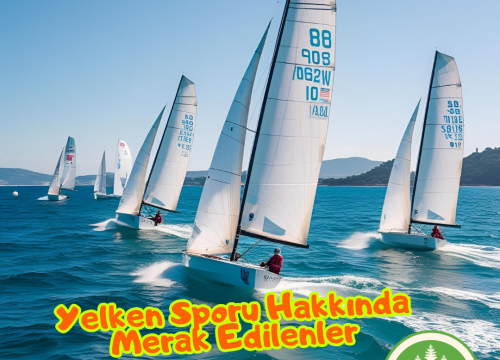 Yelken Sporu Hakkında Merak Edilenler