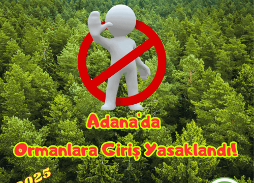 Adana’da Ormanlara Girişler Yasaklandı!