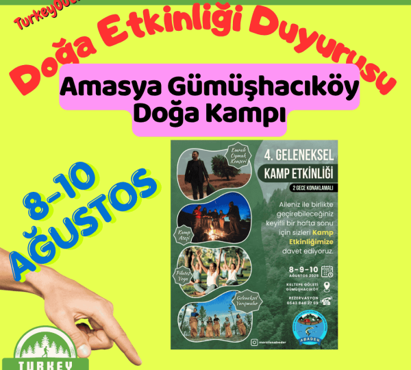 Amasya Gümüşhacıköy Doğa Kampı (1)