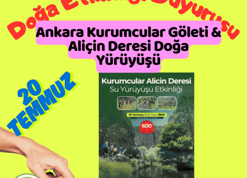Ankara Kurumcular Göleti & Aliçin Deresi Doğa Yürüyüşü