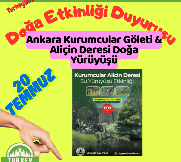 Ankara Kurumcular Göleti & Aliçin Deresi Doğa Yürüyüşü