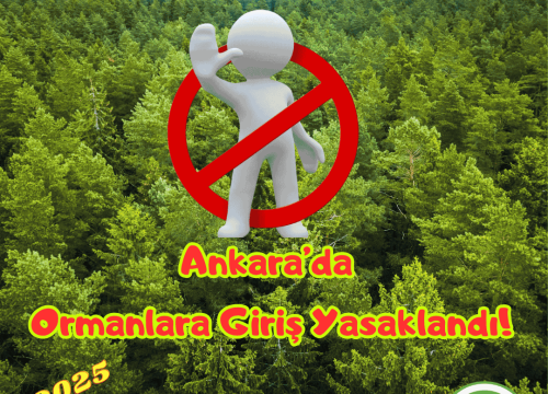 Ankara’da Ormanlara Girişler Yasaklandı!