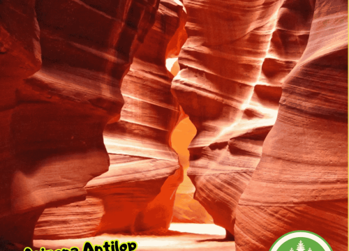 Bir Doğa Harikası: Arizona Antilop Kanyonu