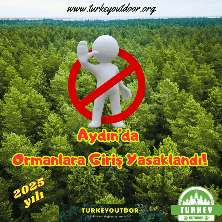 Aydın Orman Giriş Yasakları