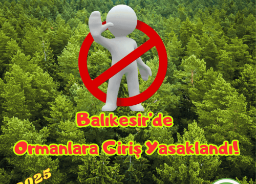 Balıkesir’de Ormanlara Girişler Yasaklandı!