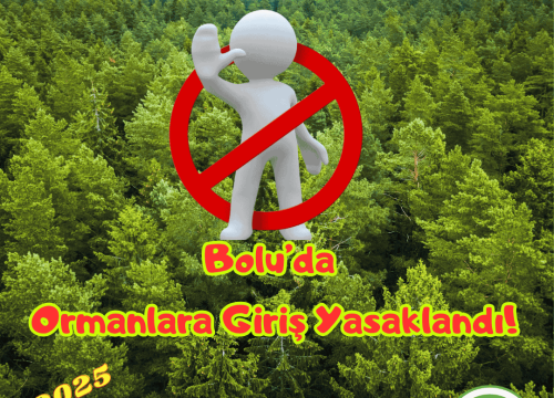 Bolu’da Ormanlara Girişler Yasaklandı!