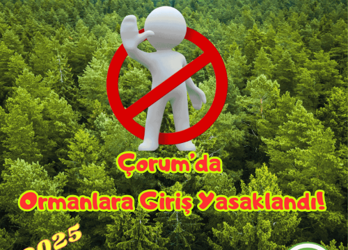 Çorum’da Ormanlara Girişler Yasaklandı!