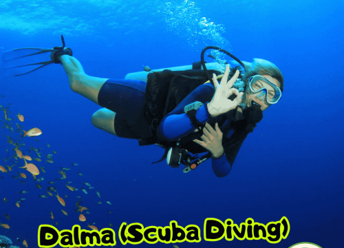 Dalma (Scuba Diving) Nedir?