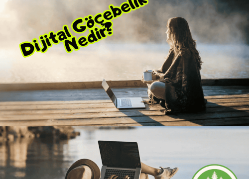 Dijital Göçebelik Nedir?