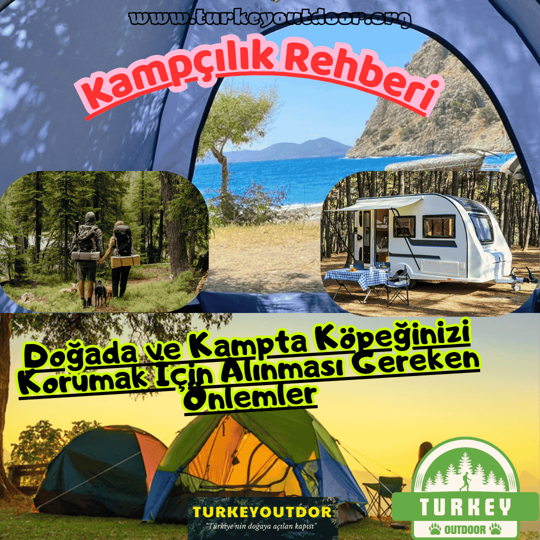 Doğada ve Kampta Köpek (1)