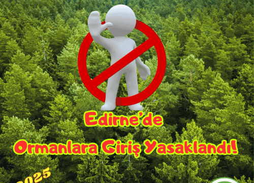 Edirne’de Ormanlara Girişler Yasaklandı!