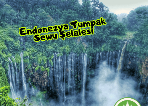 Endonezya’nın Büyüleyici Manzarası Tumpak Sewu Şelalesi