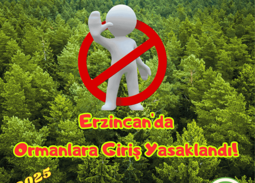 Erzincan’da Ormanlara Girişler Yasaklandı!
