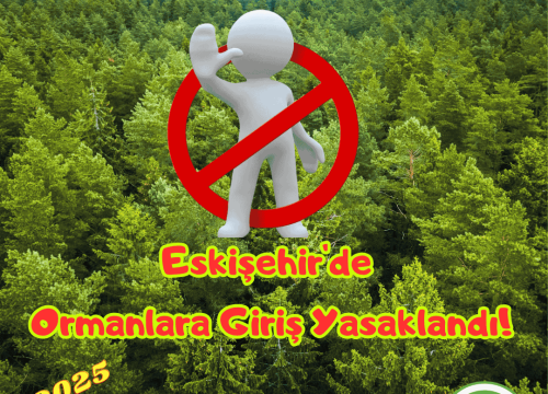 Eskişehir’de Ormanlara Girişler Yasaklandı!