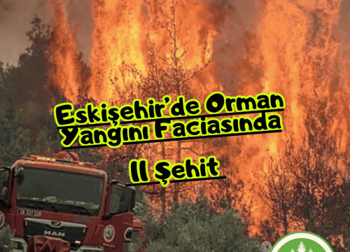 Eskişehir’de Orman Yangını Faciasında 11 Şehit
