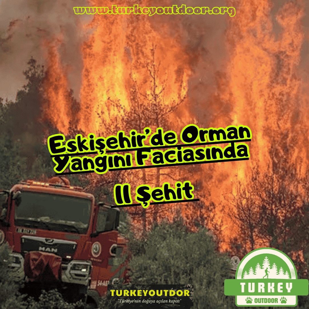 Eskişehir Orman Yangını