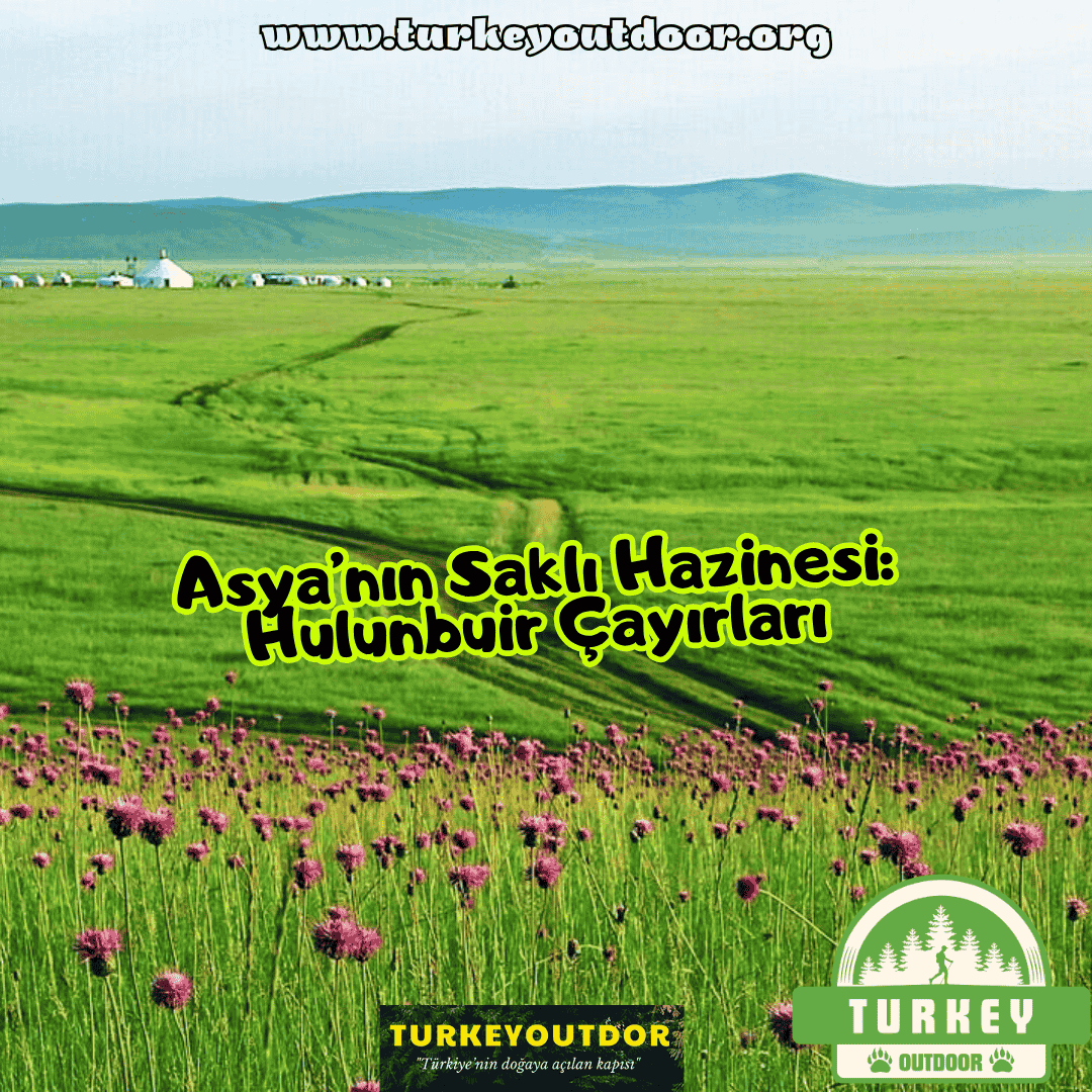 Hulunbuir Çayırları