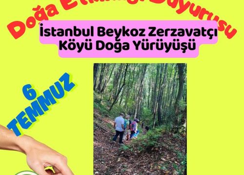 İstanbul Beykoz Zerzavatçı Köyü Doğa Yürüyüşü
