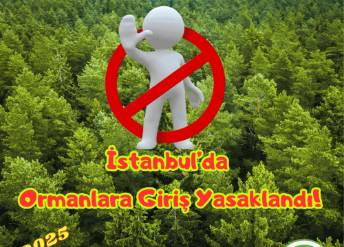 İstanbul’da Ormanlara Girişler Yasaklandı!