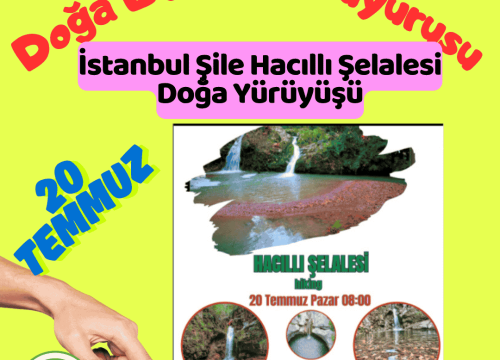 İstanbul Şile Hacıllı Şelalesi Doğa Yürüyüşü
