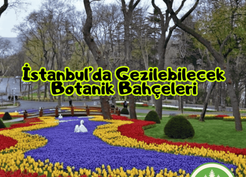İstanbul’da Gezilebilecek Botanik Bahçeleri