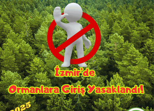 İzmir’de Ormanlara Girişler Yasaklandı!