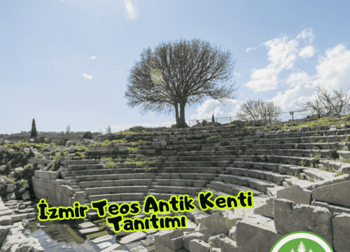 İzmir Teos Antik Kenti Tanıtımı