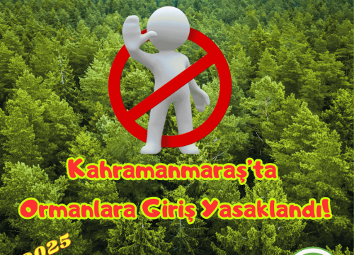 Kahramanmaraş’ta Ormanlara Girişler Yasaklandı!