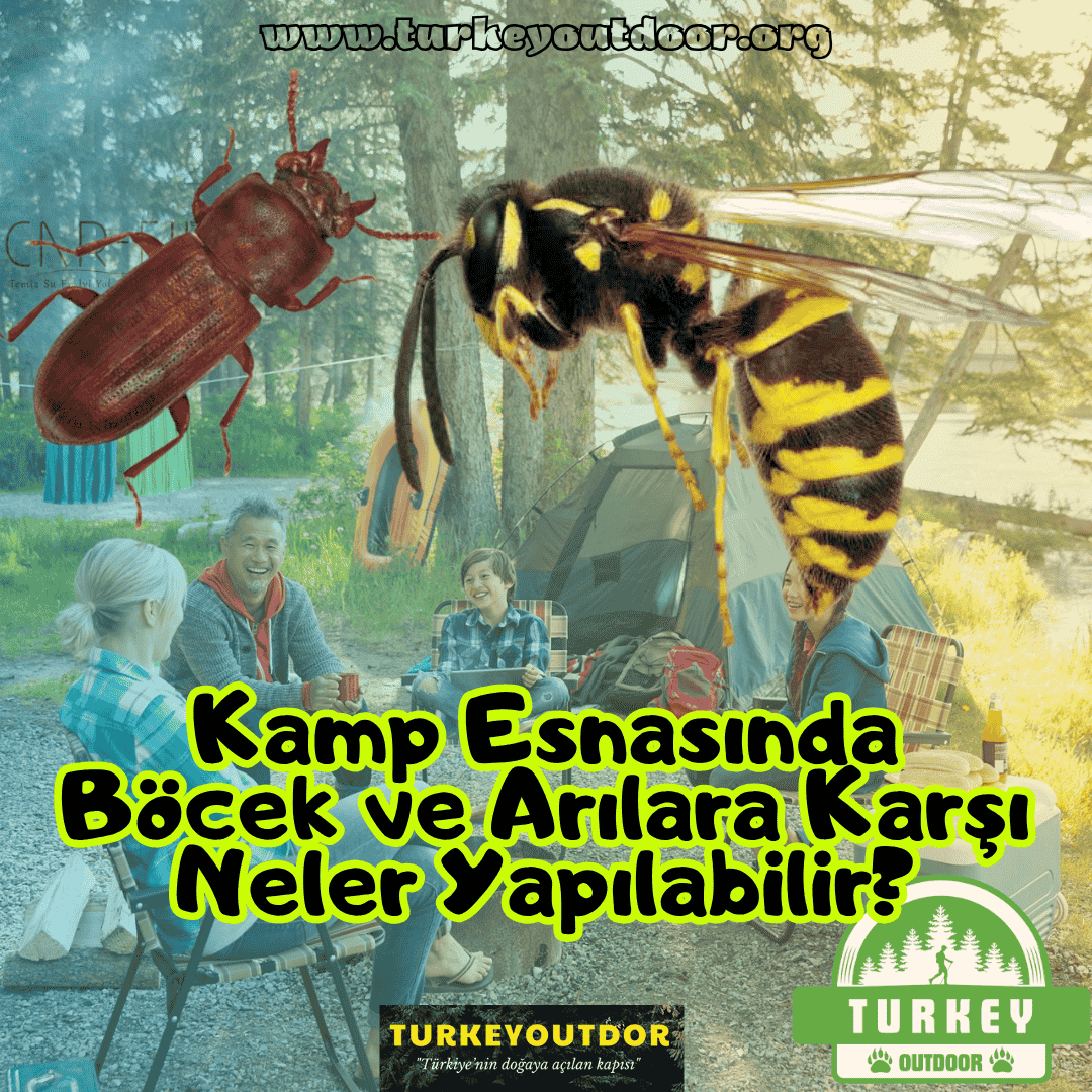 Kamp Esnasında Böcek ve Arılara Karşı Neler Yapılabilir