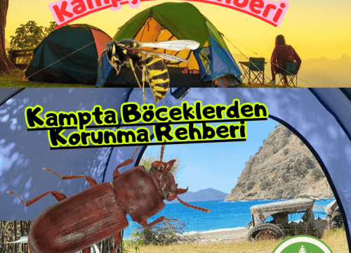 Kampta Böceklerden Korunma Rehberi