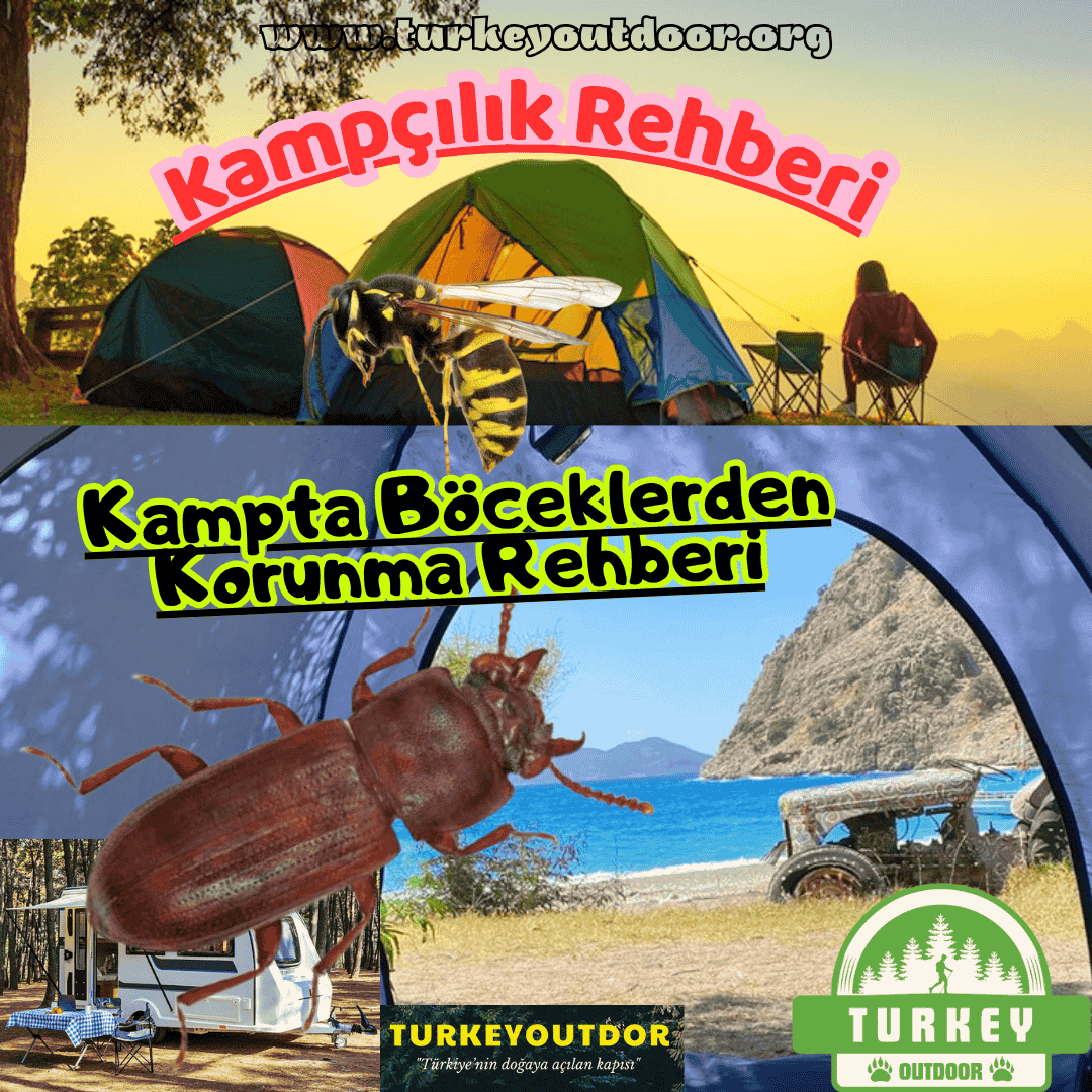 Kampta Böceklerden Korunma Rehberi