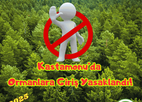 Kastamonu’da Ormanlara Girişler Yasaklandı!