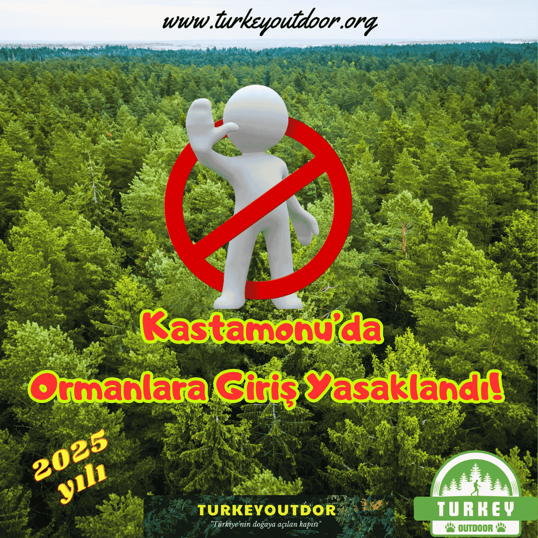 Kastamonu Orman Giriş Yasakları